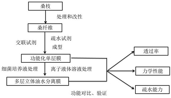 Preparation method of mulberry fiber composite three-dimensional oil-water separation membrane