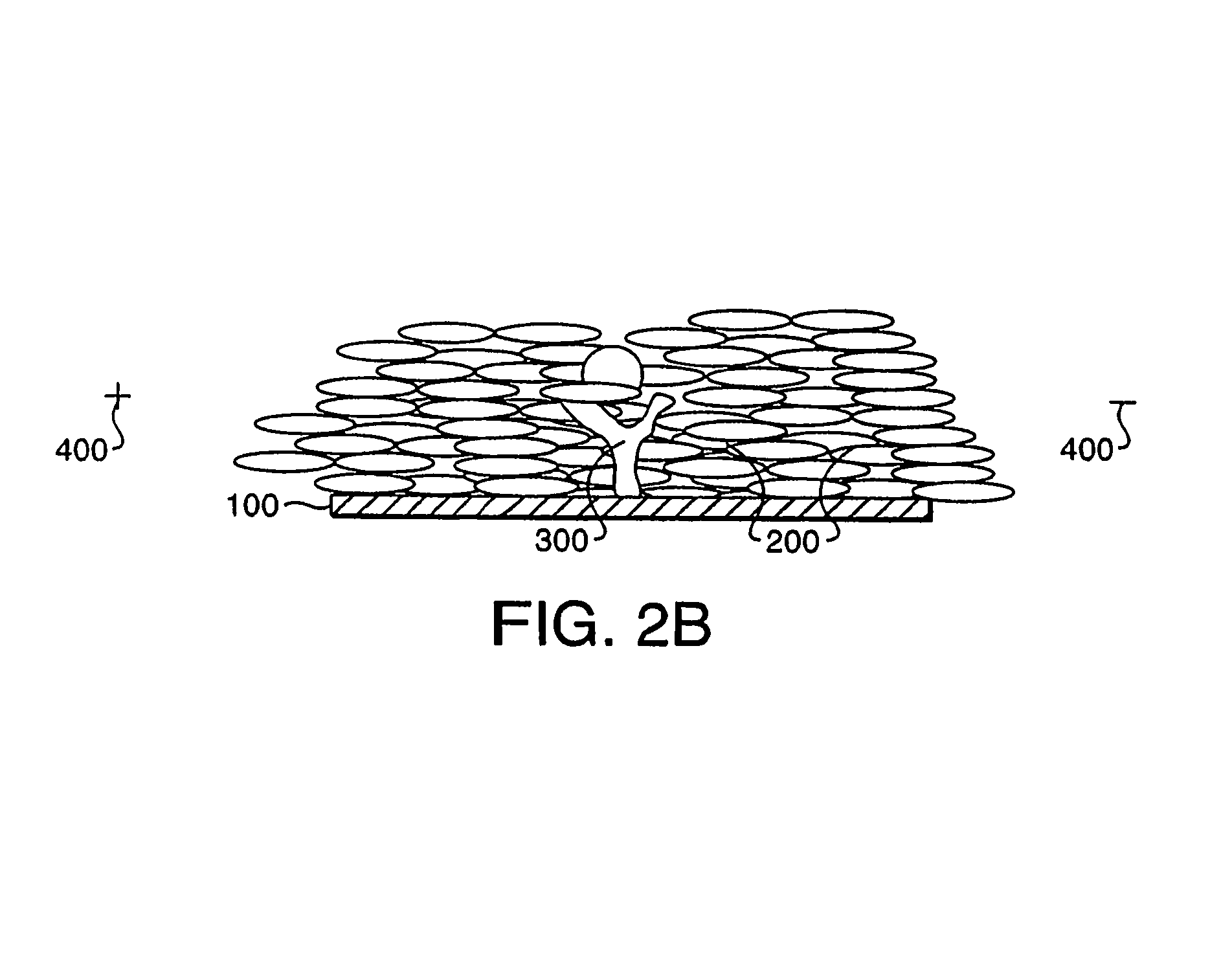 Method for assaying cell movement