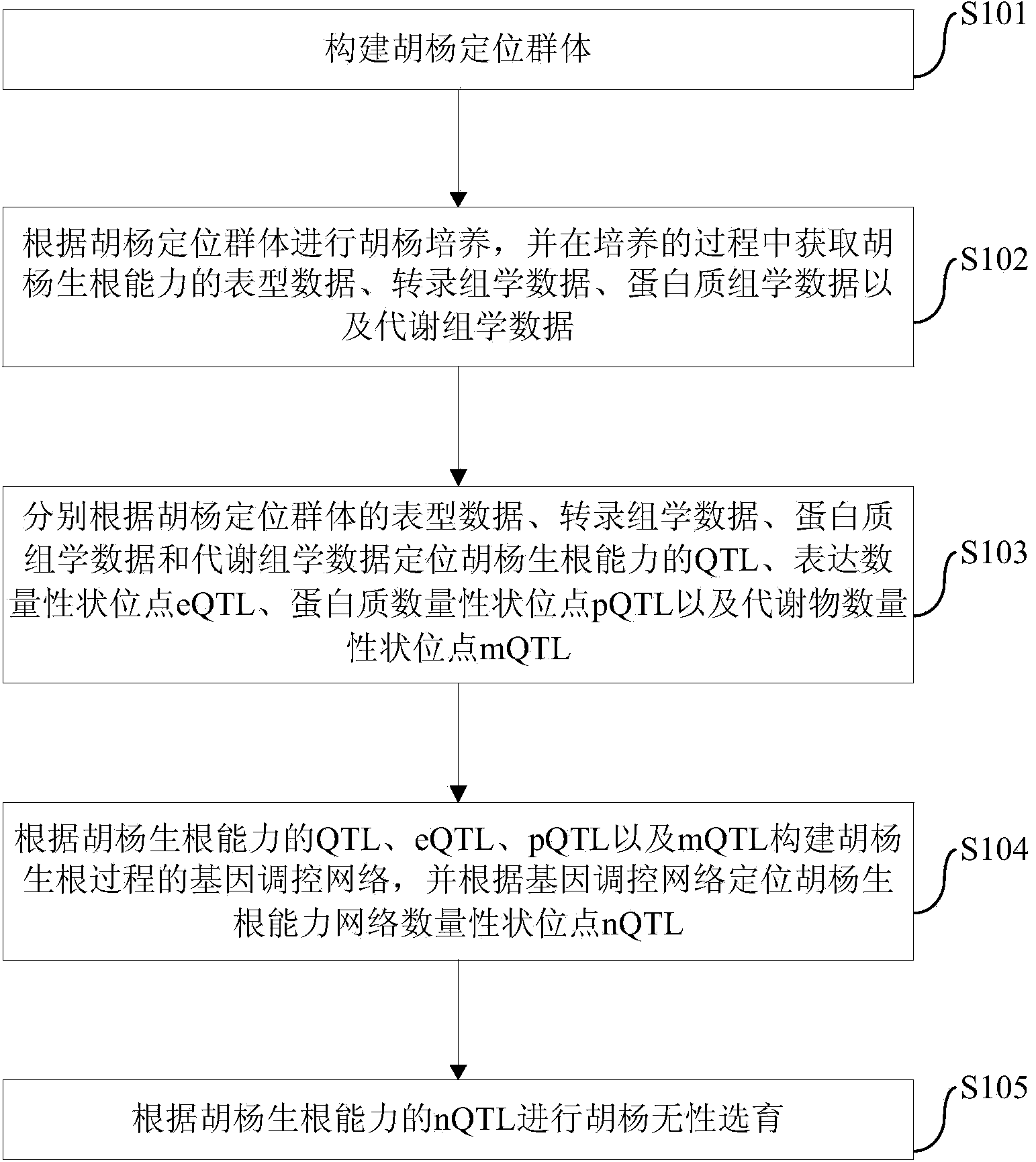 Populus diversifolia sexless breeding method based on gene regulatory network