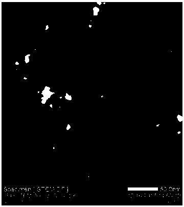 Supported uniform nickel-cobalt (Ni-Co) alloy catalyst and preparation method thereof