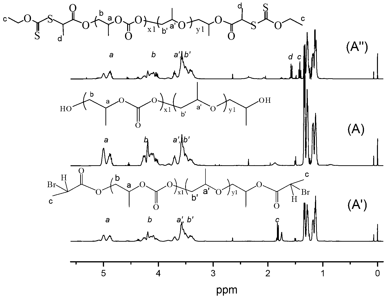 RAFT (Reversible Addition-Fragmentation chain Transfer) reaction reagent based on low molecular weight carbon dioxide copolymer and preparation method of RAFT reaction reagent