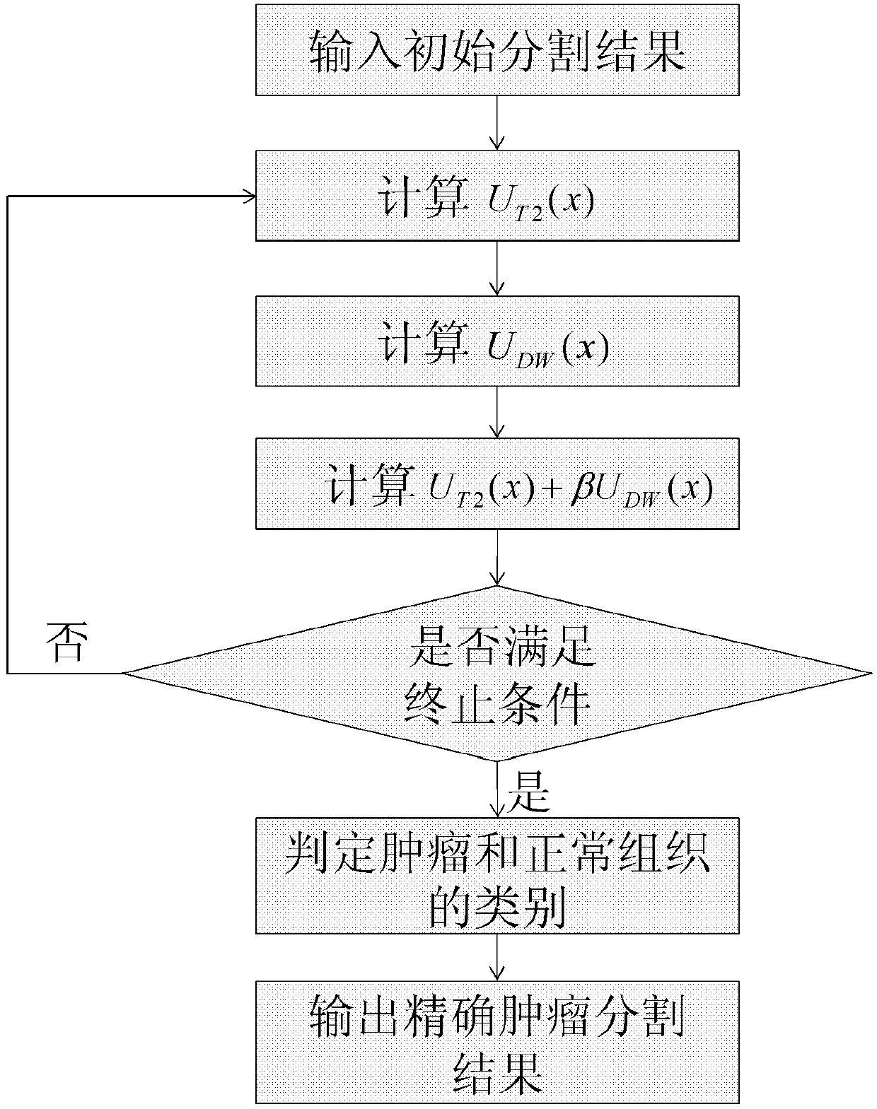 Cervical caner image automatic partition method based on T2-magnetic resonance imaging (MRI) and dispersion weighted (DW)-MRI