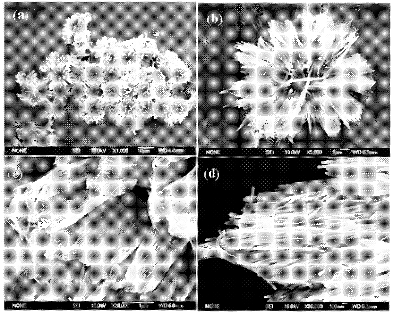 Hydroxyapatite with flower-shaped level nanostructure and preparation method thereof