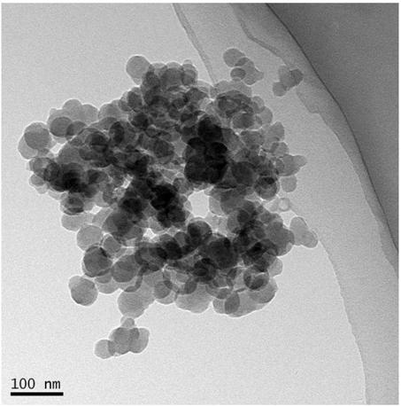 Photocatalyst, preparation method and application thereof