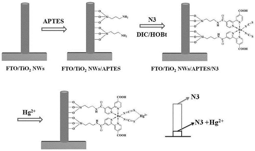 Mercury ion photo-electrochemical sensor working electrode and manufacturing method and application thereof