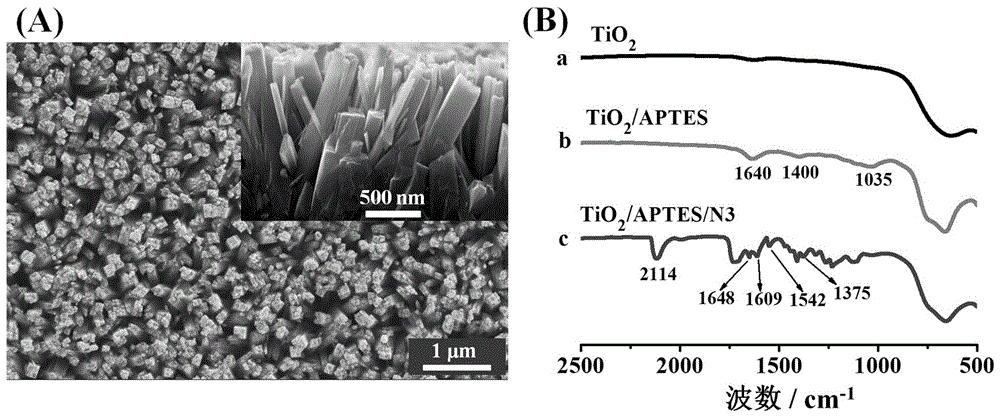 Mercury ion photo-electrochemical sensor working electrode and manufacturing method and application thereof