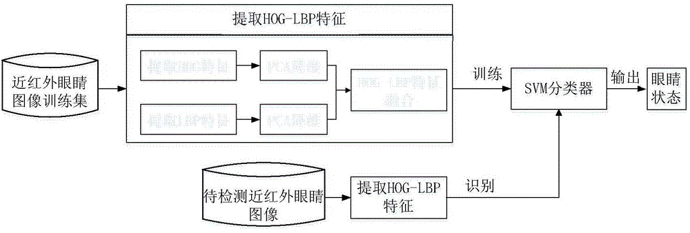 Near infrared eye positioning and eye state identification method