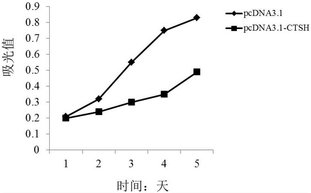 Multiple myeloma biomarker