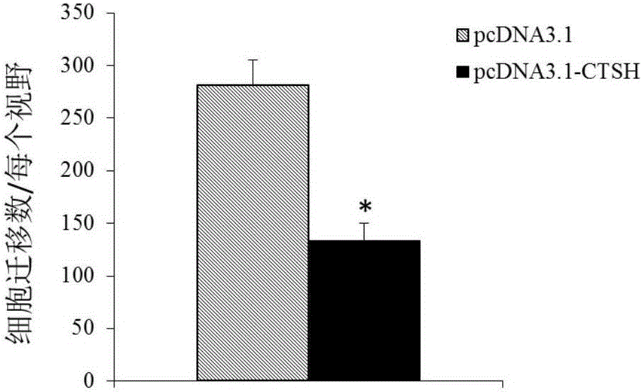 Multiple myeloma biomarker