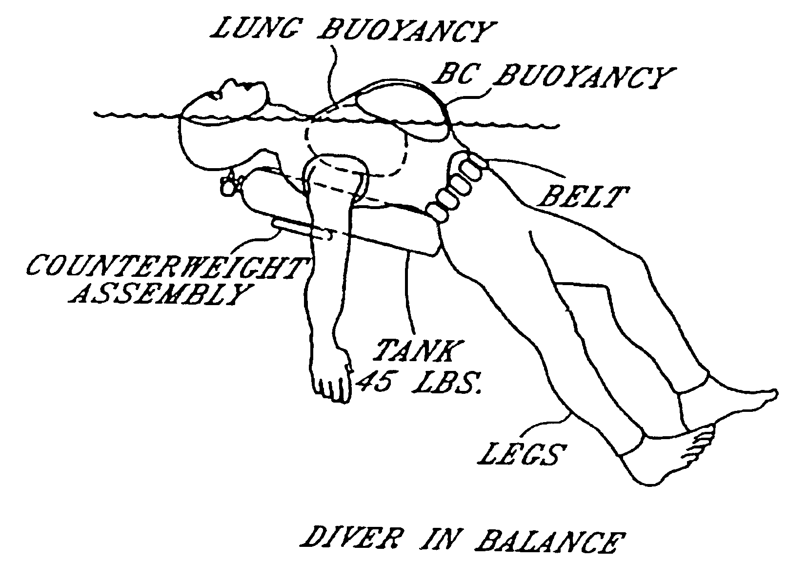 Water safety and survival system