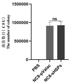 sHSPs recombinant invasive lactobacillus plantarum live vector DNA vaccine