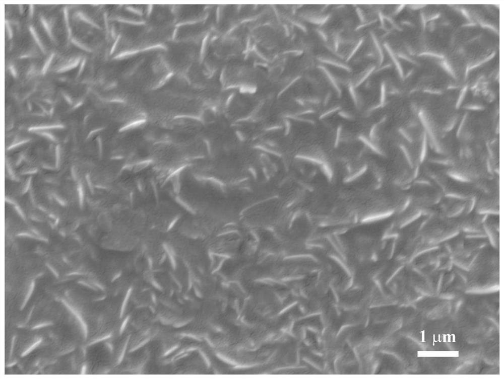 Preparation method and application of SLIPS/LDHs composite film layer on surface of magnesium alloy