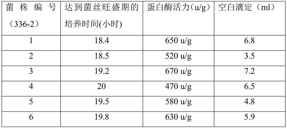 Sauce composite yeast seed and application thereof in sauce preparation