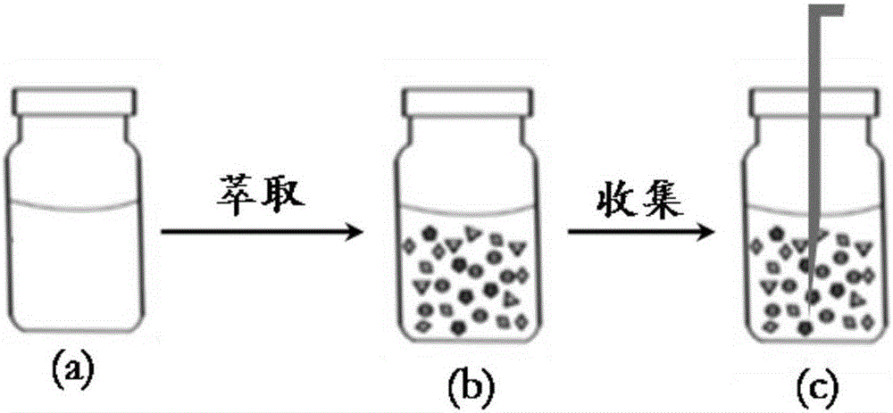 Device and method for dispersive solid-phase extraction- magnetic needle desorption electricity rising atomizing ionized mass spectrometry of magnetic nanoparticles