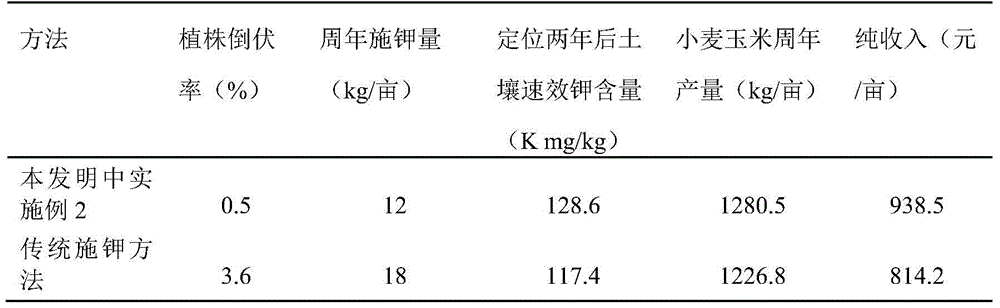 Potash fertilizer application method used in cooperation with wheat-corn crop rotation anniversary whole straw returning