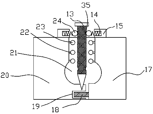 Conger eel processing and washing device