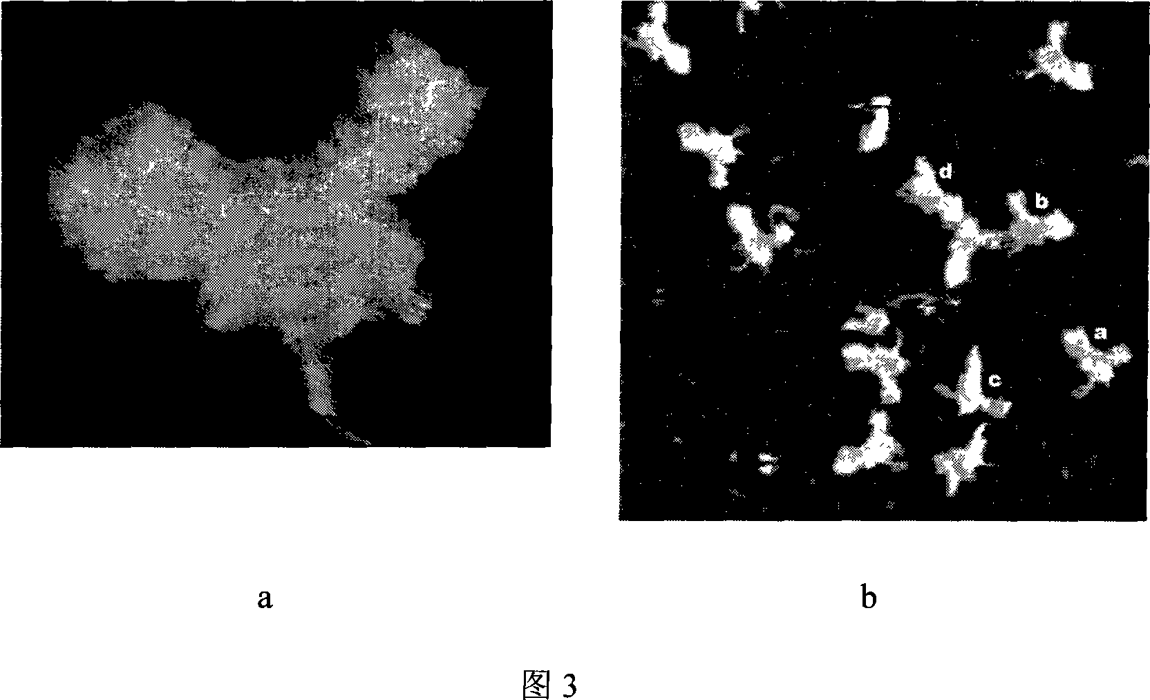 Method for constructing complicated Nano form by suing DNA molecule