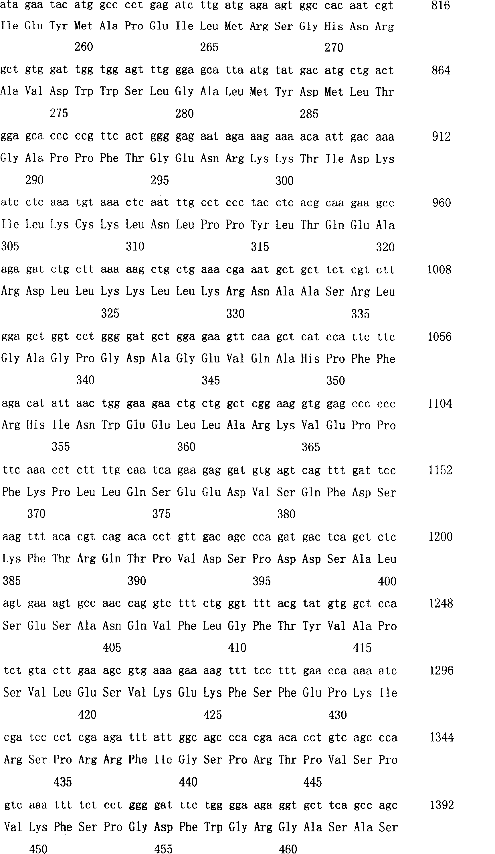 Goat S6K1 gene cDNA encoding zone nucleotide sequence