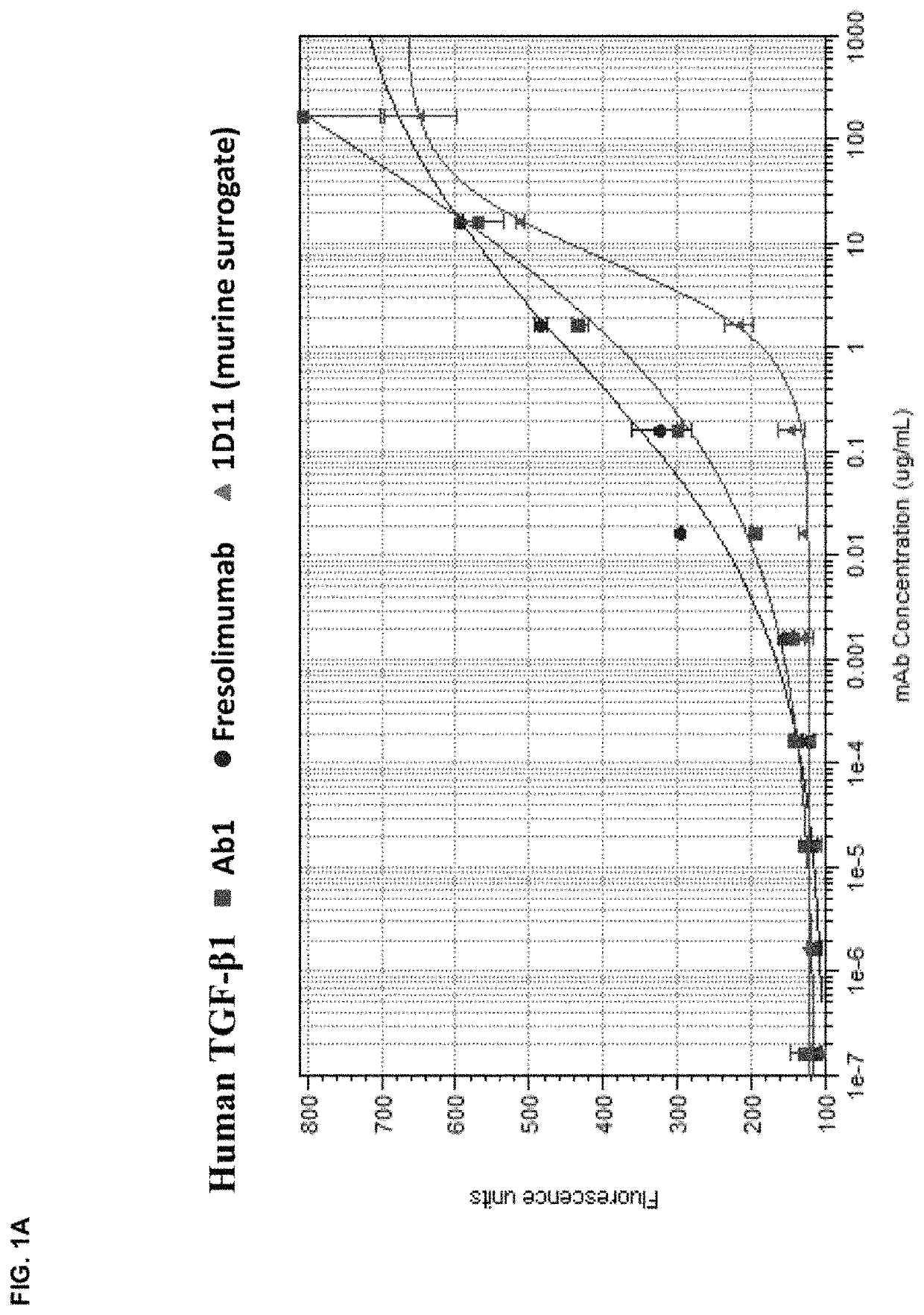 Anti-TGF-β antibodies and their use