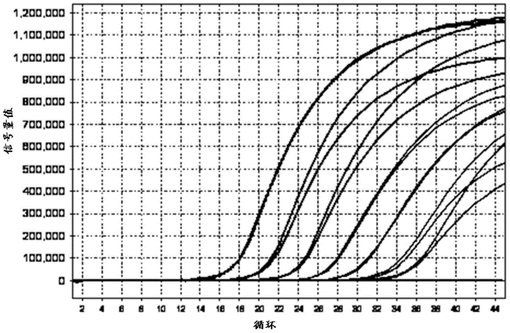 Kit for detecting mycoplasma hominis nucleic acid through PCR-fluorescence probe method and detecting method of kit