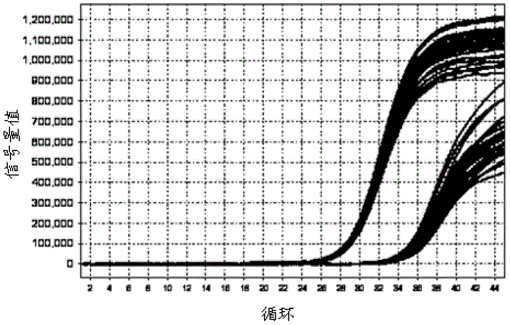 Kit for detecting mycoplasma hominis nucleic acid through PCR-fluorescence probe method and detecting method of kit