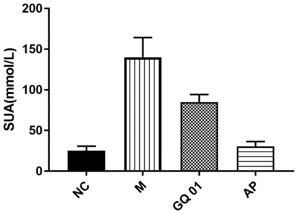 A kind of Pediococcus lactis with uric acid-lowering effect derived from Lycium barbarum enzyme and its application