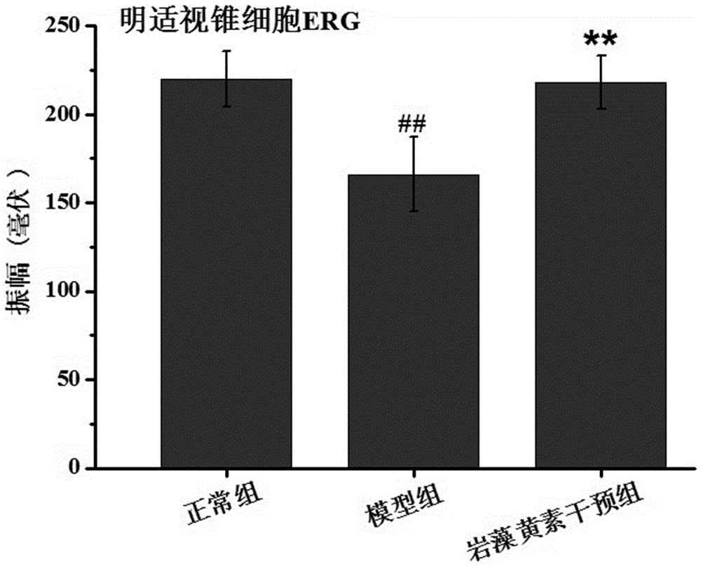 New application of fucoxanthin to eyesight protection