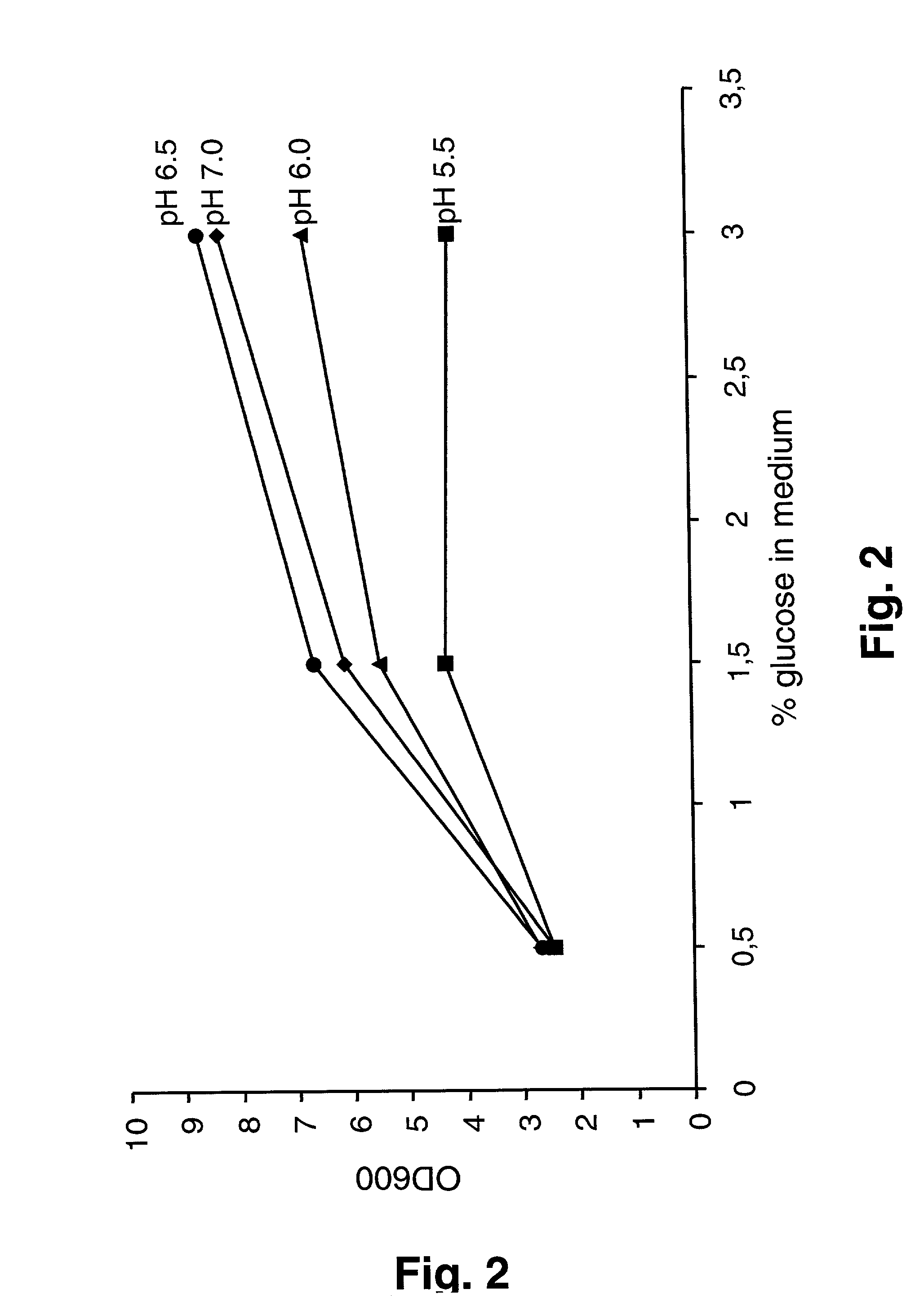 Fermentation method for production of heterologous gene products in lactic acid bacteria