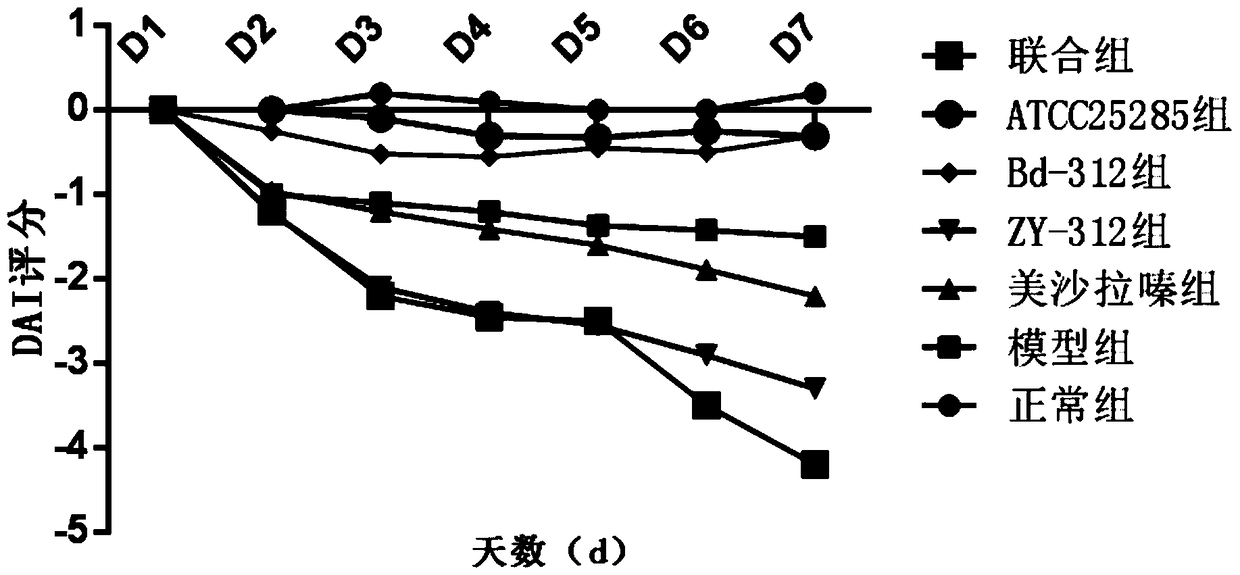 Application of a Bacteroides fragilis in the prevention and/or treatment of inflammatory bowel disease