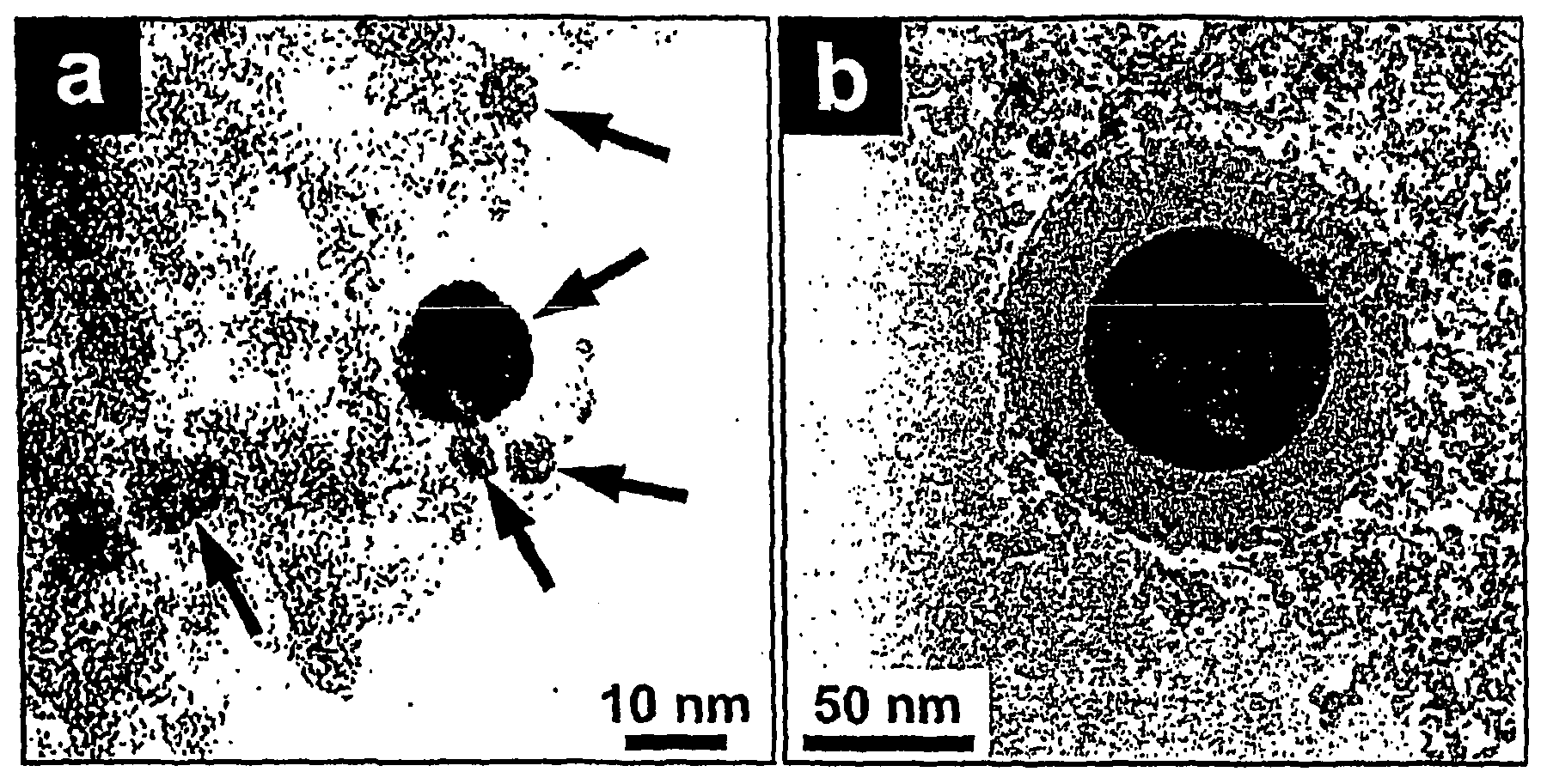 Antimicrobial and Antifungal Powders Made by Flame Spray Pyrolysis