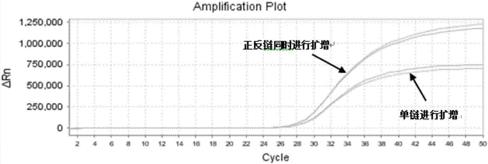 Primer and probe used for detecting gene methylation, and sampling method and kit thereof