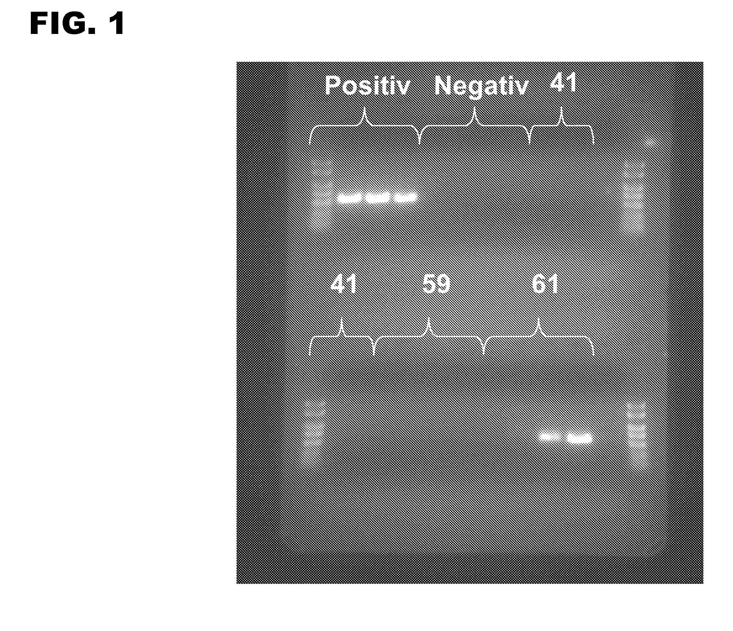 Stabilized compositions of thermostable DNA polymerase and anionic or zwitterionic detergent