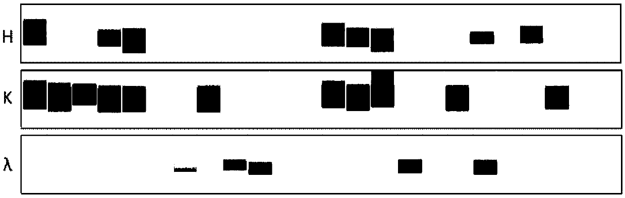 Monoclonal antibody 2G1 against Ebola virus glycoprotein (GP)2 subunit, and application of monoclonal antibody 2G1