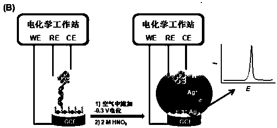 A ppt level hg2+ amperometric analysis method