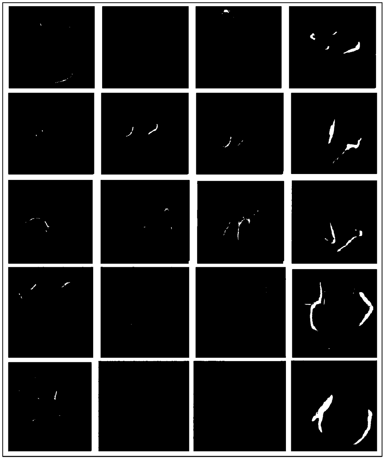 Plant seed pregermination method under cadmium stress and used pregermination agent