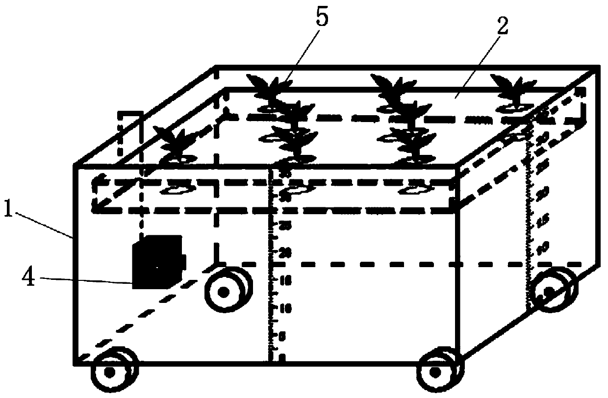 Experimental leaf vegetable water culture device