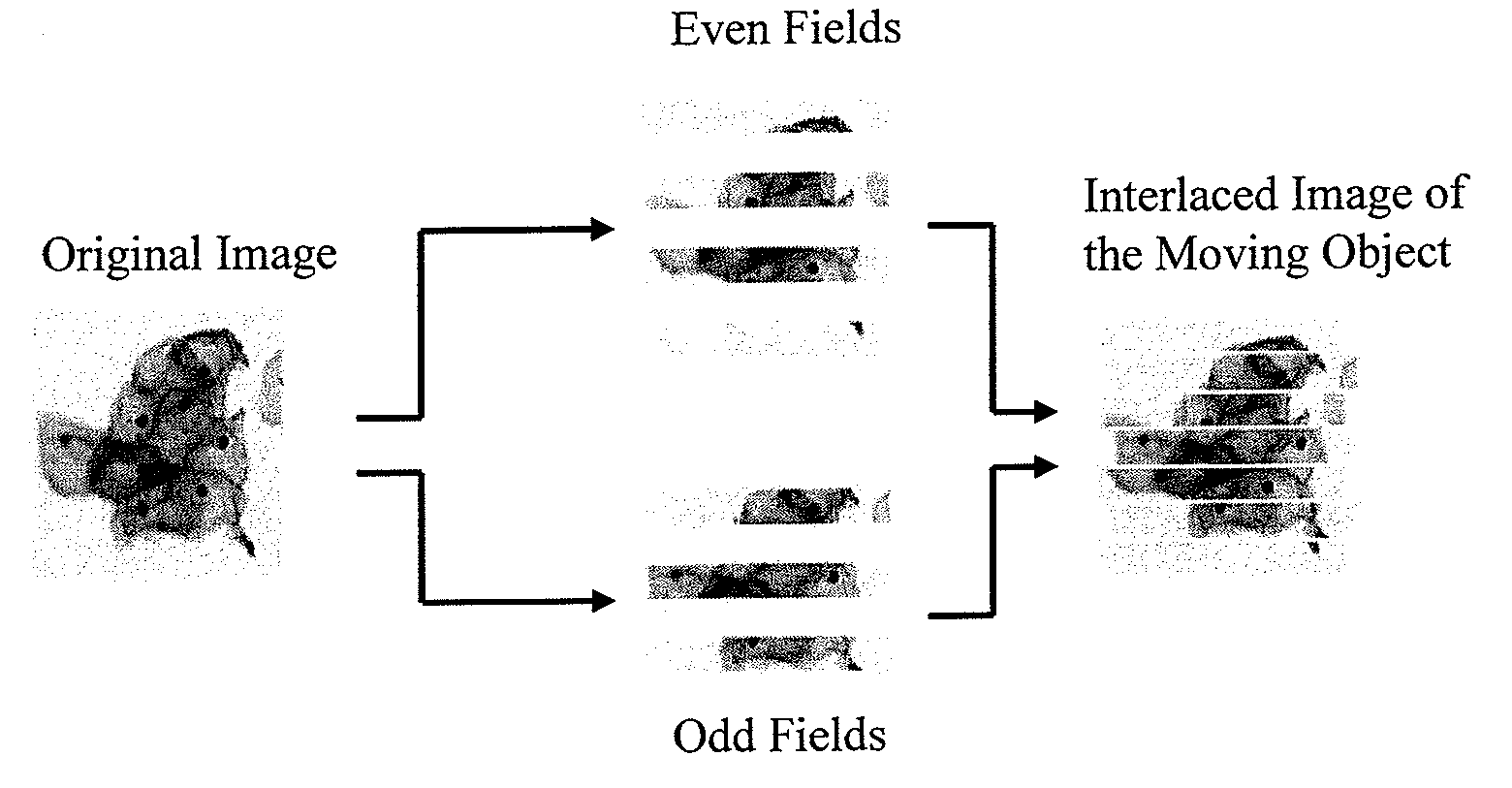 Microscopy system having automatic and interactive modes for forming a magnified mosaic image and associated method