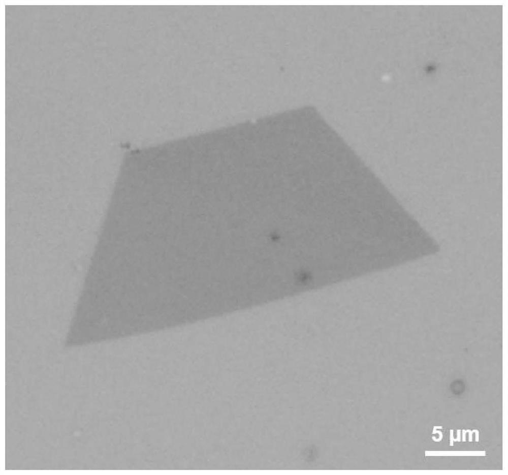 Method for judging sub-crystal domain and crystal lattice direction of rhenium compound film based on optical method