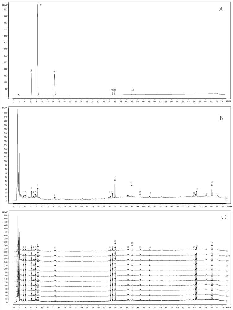 A kind of fingerprint determination method of Xiaopihewei capsule