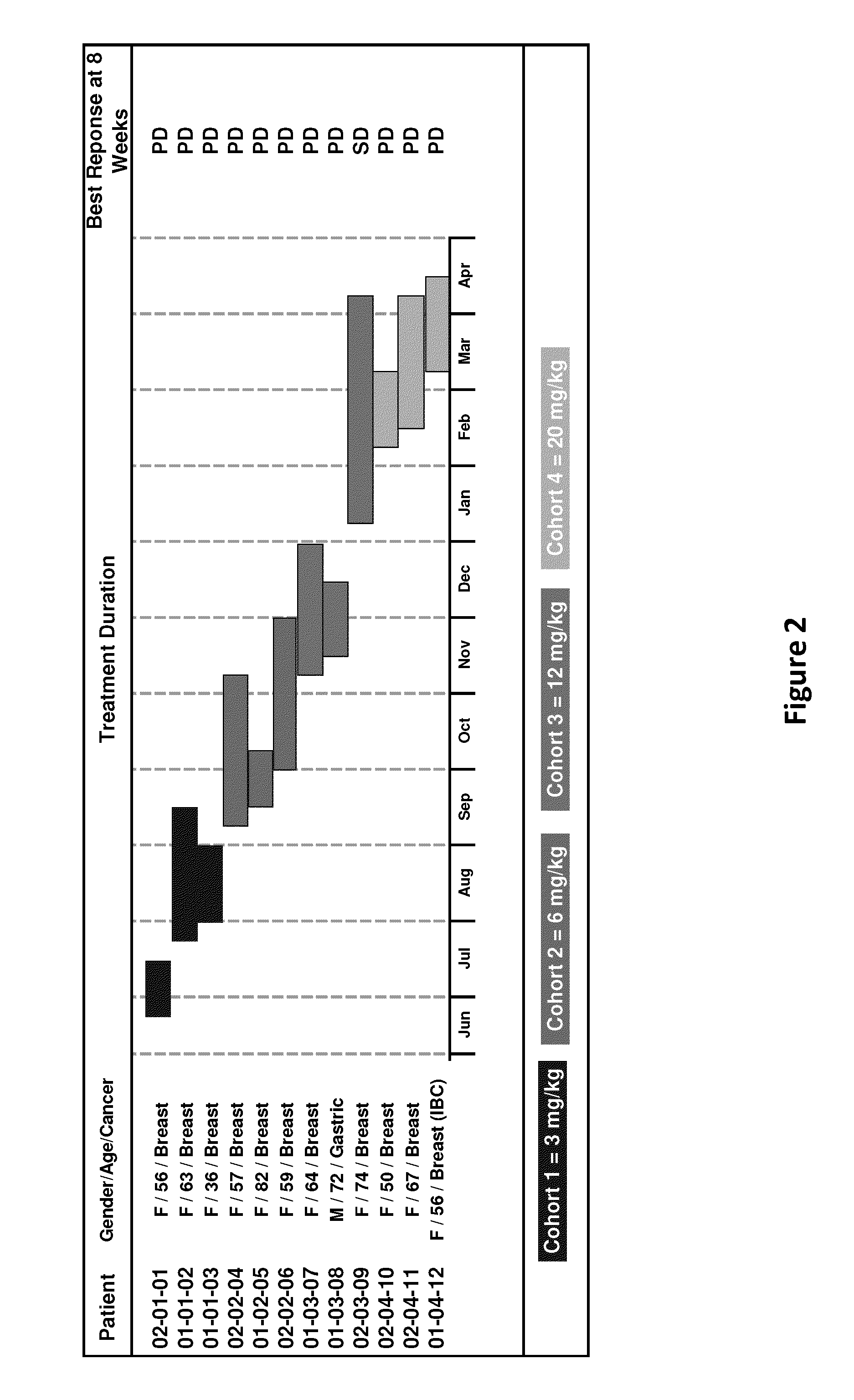 Dosage and administration of bispecific scfv conjugates