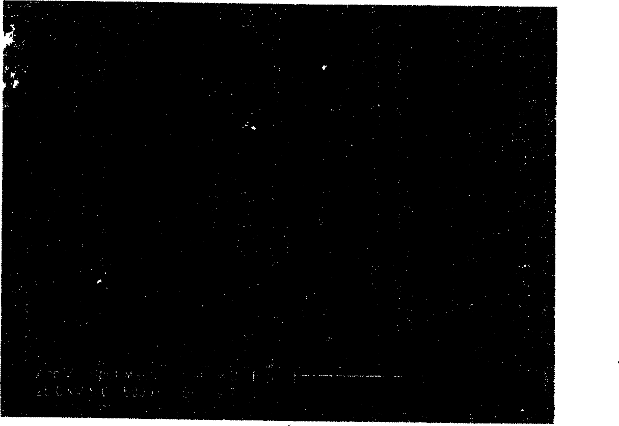 Method for preparing nano crystal TiO2 porous film using high viscosity solvent