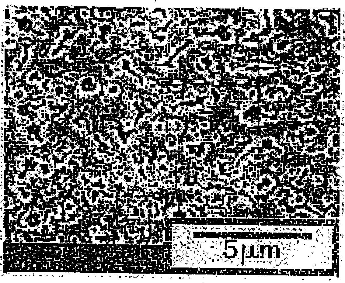 Method for preparing nano crystal TiO2 porous film using high viscosity solvent