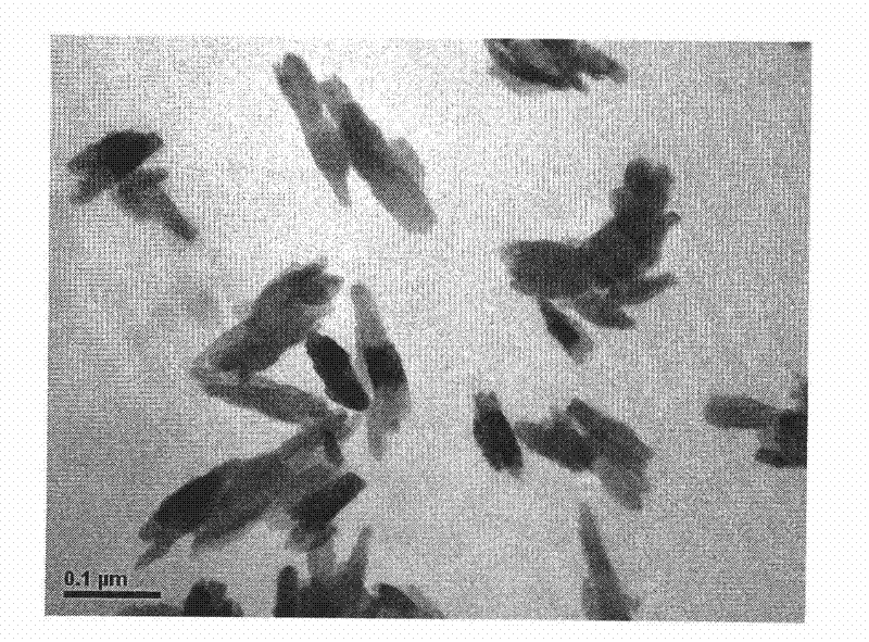 Method for preparing hydroxyapatite/silk fibroin compound porous stand material