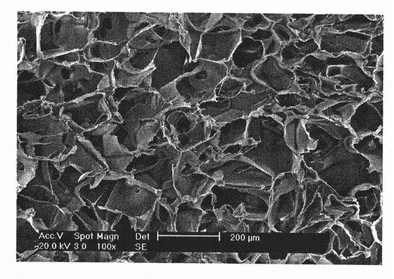 Method for preparing hydroxyapatite/silk fibroin compound porous stand material