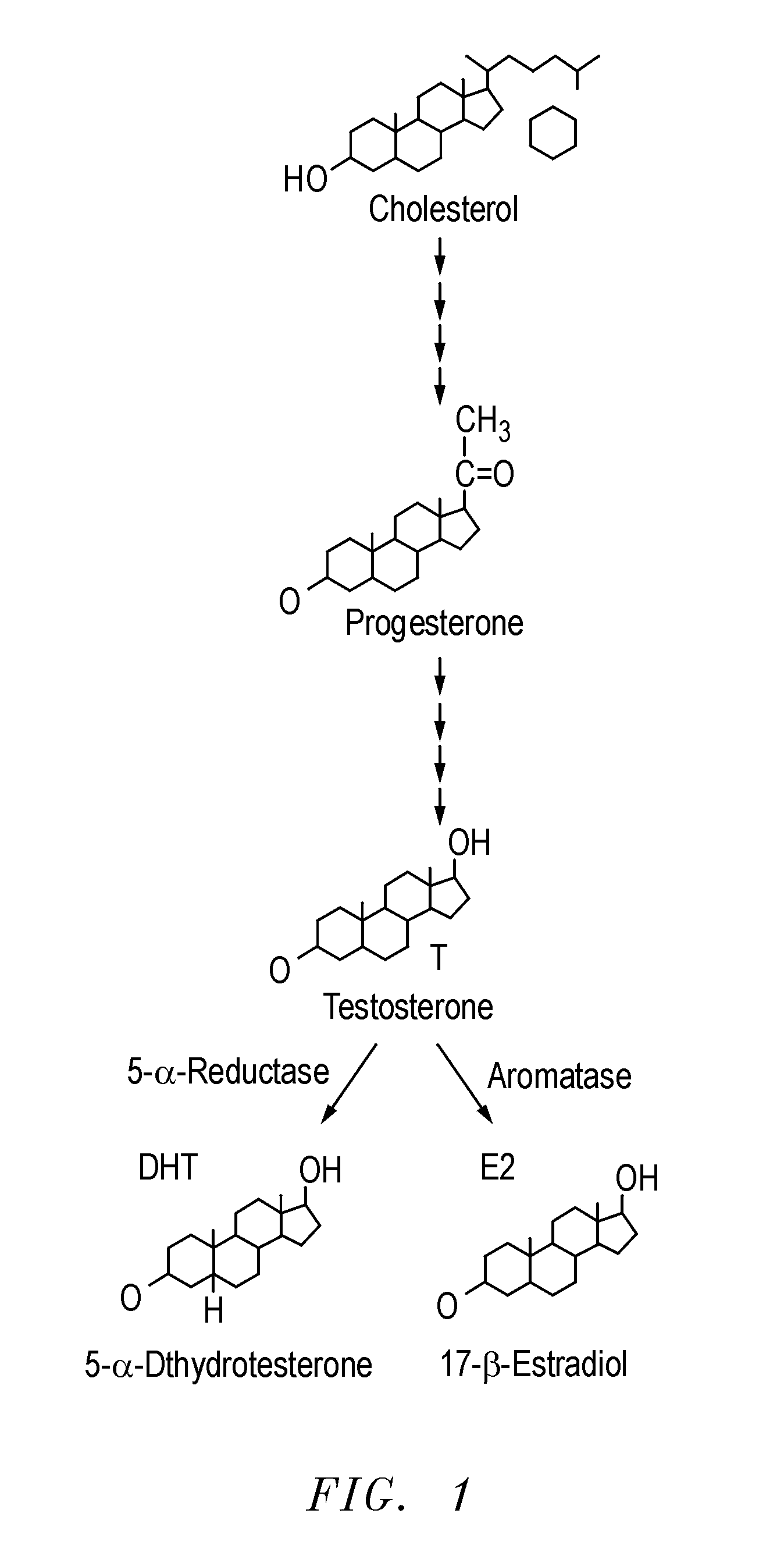 Materials free of endocrine disruptive activity