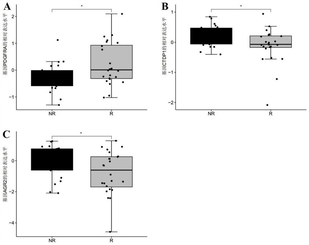 Marker molecule for predicting sensitivity of patient to preoperative chemoradiotherapy and surgical mesorectal resection and derivative product of marker molecule