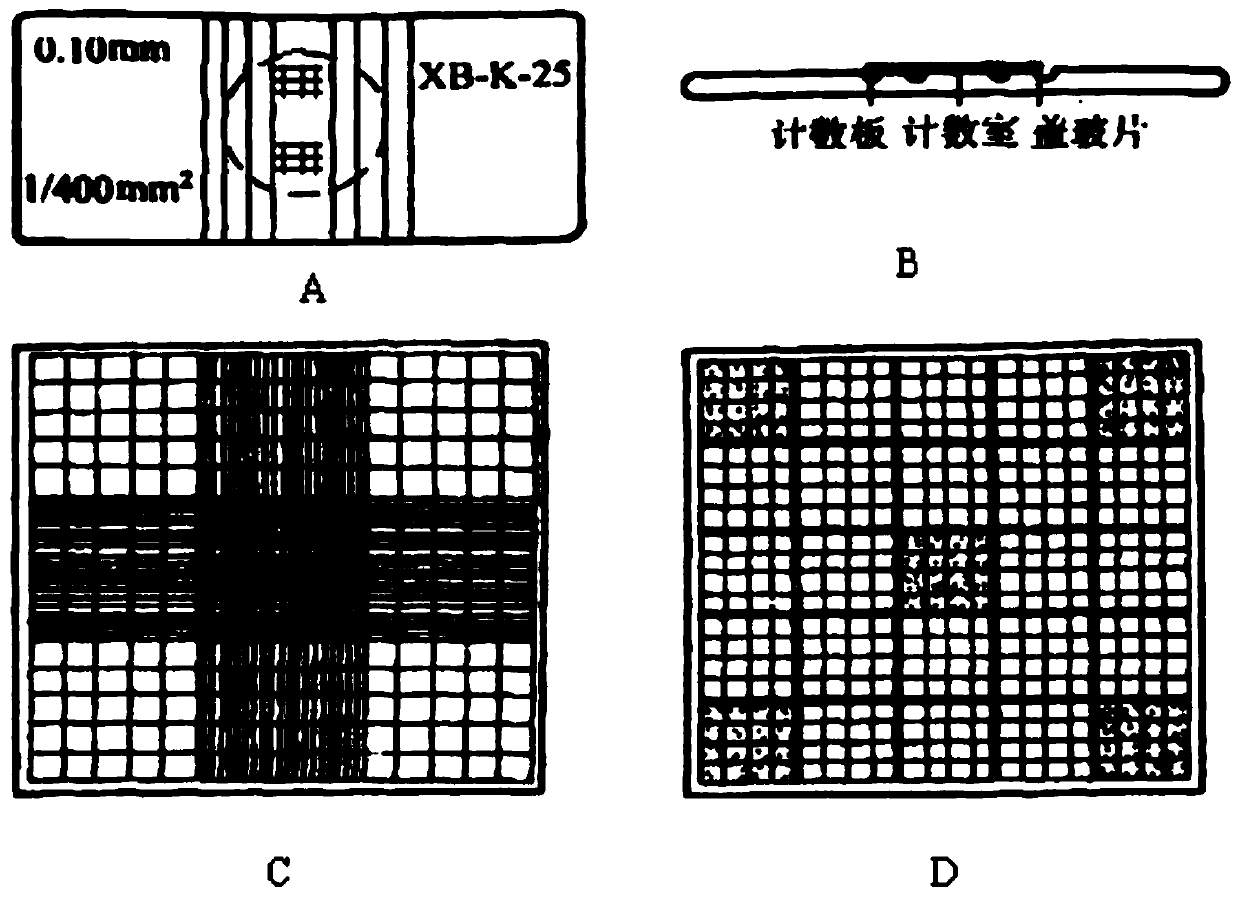 Novel particle counter and particle counting method