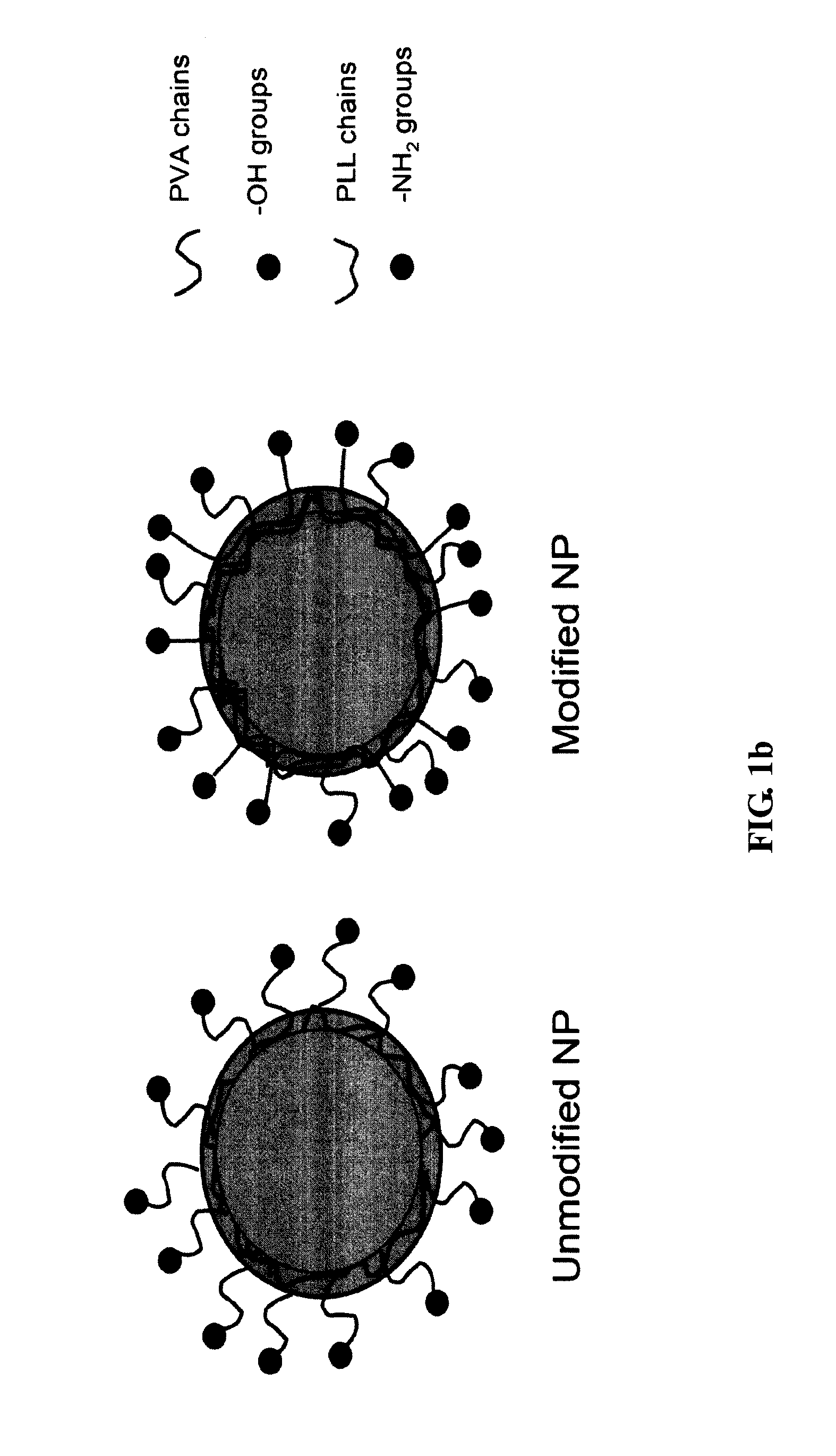 Surface-modified nanoparticles for intracellular delivery of therapeutic agents and compositions for making same