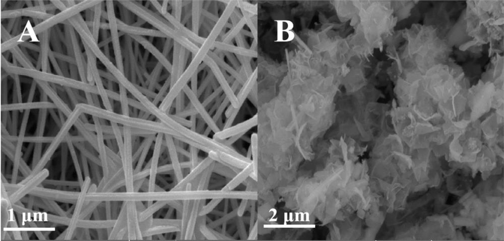 Preparation method of Ag-coated CoMoO4 oxygen evolution electrocatalyst