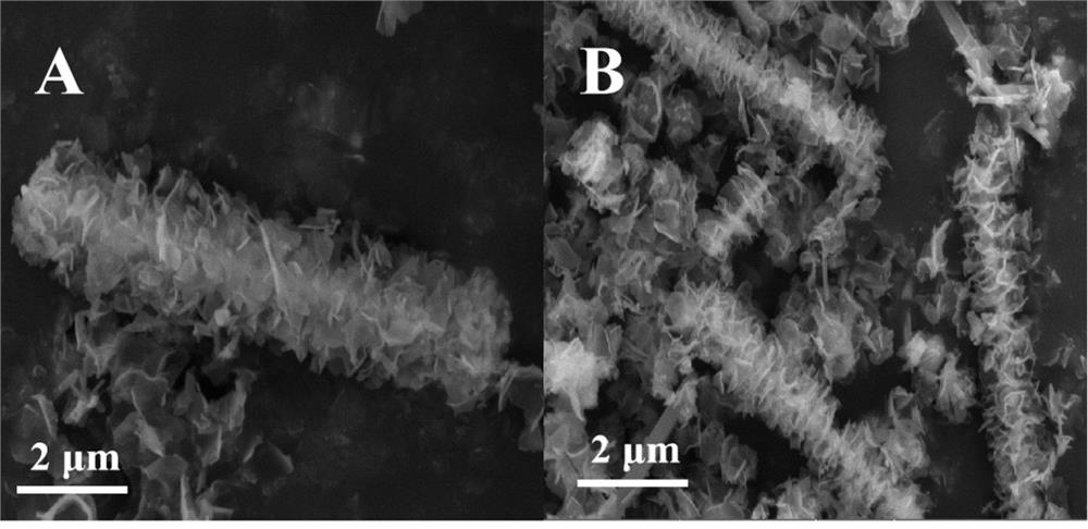 Preparation method of Ag-coated CoMoO4 oxygen evolution electrocatalyst